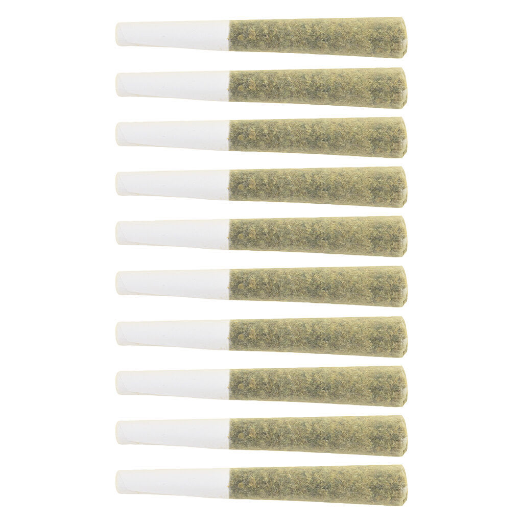 The Loud Plug - Exotic Gas Pre-Roll - Exotic Gas Pre-Roll 10x0.5g Pre-Rolls
